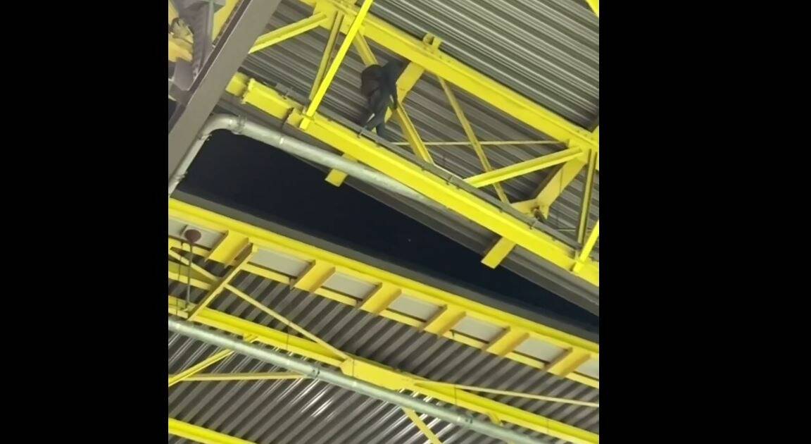 Euro-2024: un homme cagoulé interpellé sur le toit du stade de Dortmund après Allemagne-Danemark