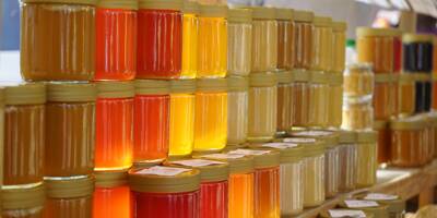 Ce qu'il faut retenir de la première enquête de commercialisation du miel produit dans la région Paca