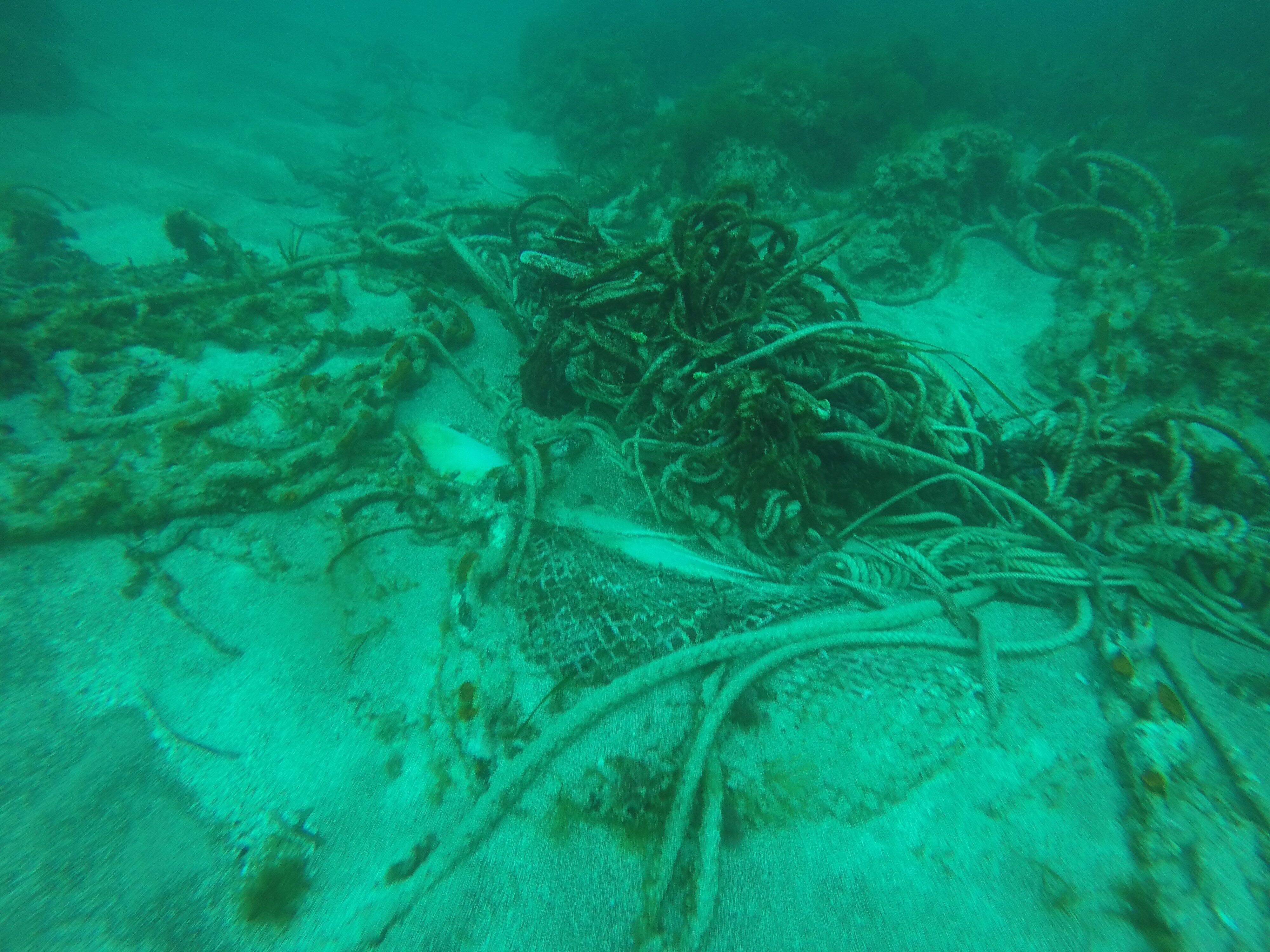 Antibes : ils ramassent 174 kilos de plombs de pêche en mer et les recyclent