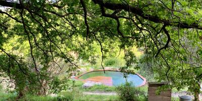 PHOTOS. Ecologique, économique, facile d'entretien, toujours belle... Et si vous passiez à la piscine naturelle?