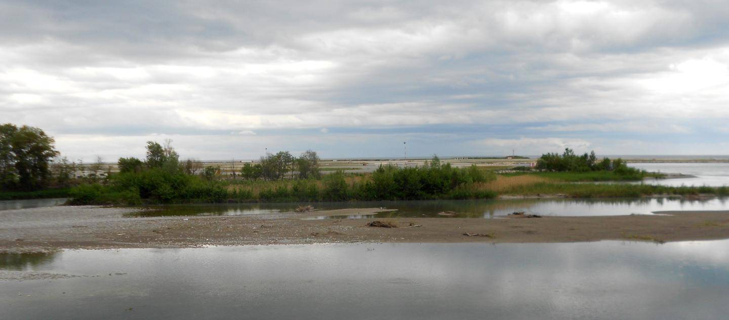 Avant la tempête, l’îlot à l’embouchure du Var était composé d’un étang, d’une roselière et d’arbres. Photo DR -nicemation.com