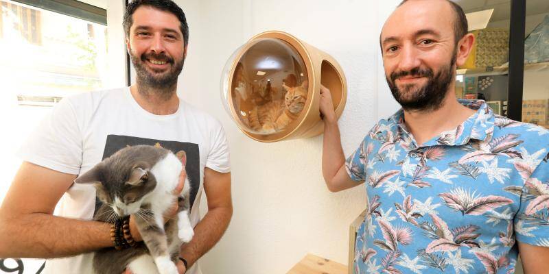 Les Chats Ont Maintenant Leur Club De Vacances Et Une Pension D Ete A Toulon Var Matin