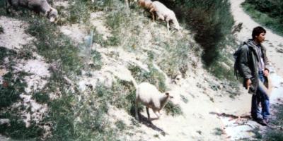 Qui a tué Pierre le berger de Castellar en août 1991? Retour sur l'un des grands mystères de la Côte d'Azur