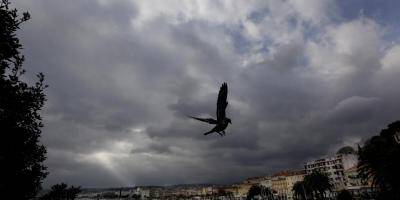 Grisaille et pluie ce vendredi sur la Côte d'Azur