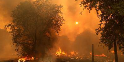 Plus de 300 incendies ravagent la Californie, l'état d'urgence déclaré