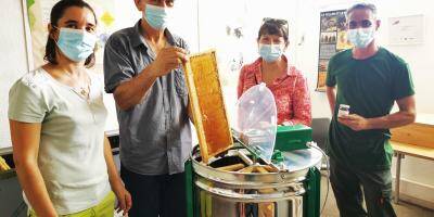Vous pouvez contribuer à fabriquer le miel estampillé Saint-Laurent-du-Var