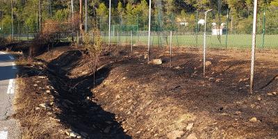 Un fumigène prend feu au bord du terrain, un match de coupe de France annulé