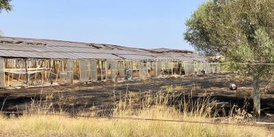 Un feu ravage 3.000m2 de broussailles dans des serres désaffectées à La Crau