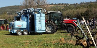 Provence verte: une autonomie alimentaire difficile à atteindre