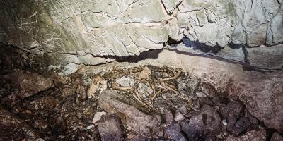 En janvier, un spéléologue découvrait d'étranges squelettes dans un gouffre du Revest... Ils ont été identifiés