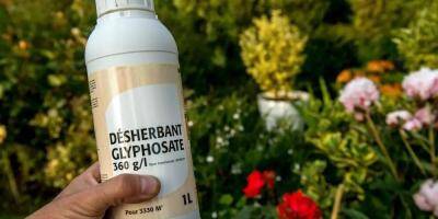 Nouvelles restrictions d'utilisations agricoles du glyphosate en France