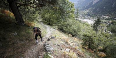 La préfecture des Alpes-Maritimes prend un nouvel arrêté d'accès aux massifs forestiers