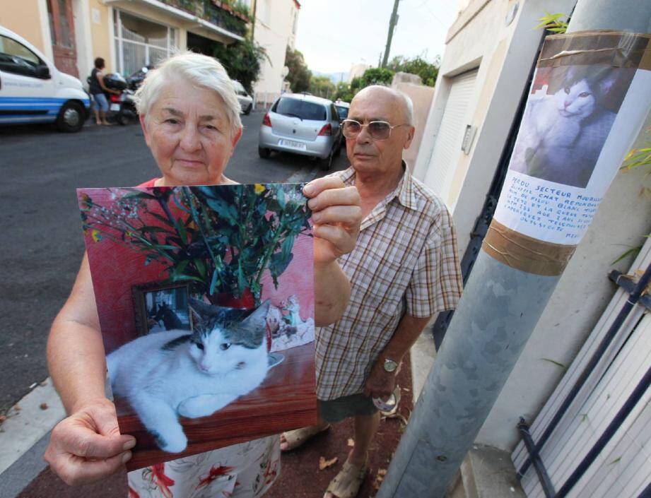 Un lieu idéal pour rencontrer des mecs gays à Toulon