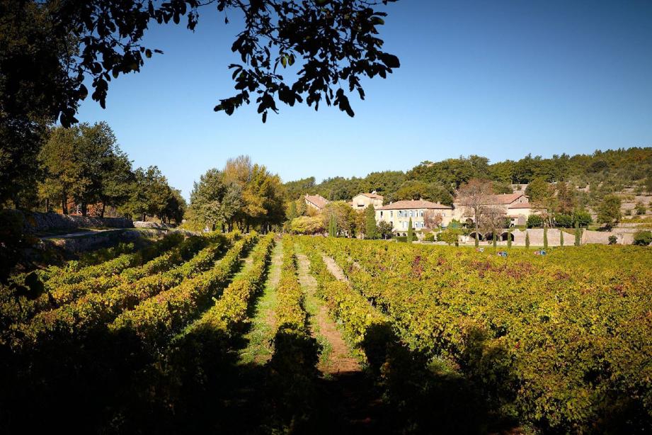 Miraval compte 40 hectares de vignes qui donnent 150 000 bouteilles annuelles dans les trois couleurs. Pour le packaging du rosé Pink Floyd de Miraval, Brad et Angelina ont voulu une esthétique plus soignée.