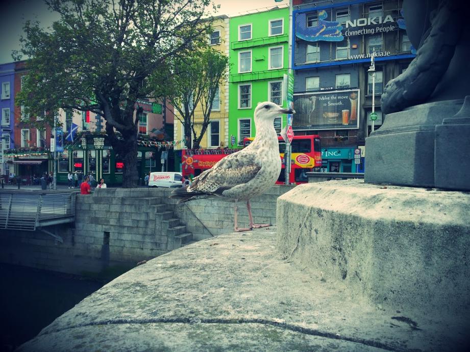 Le centre-ville de Dublin.