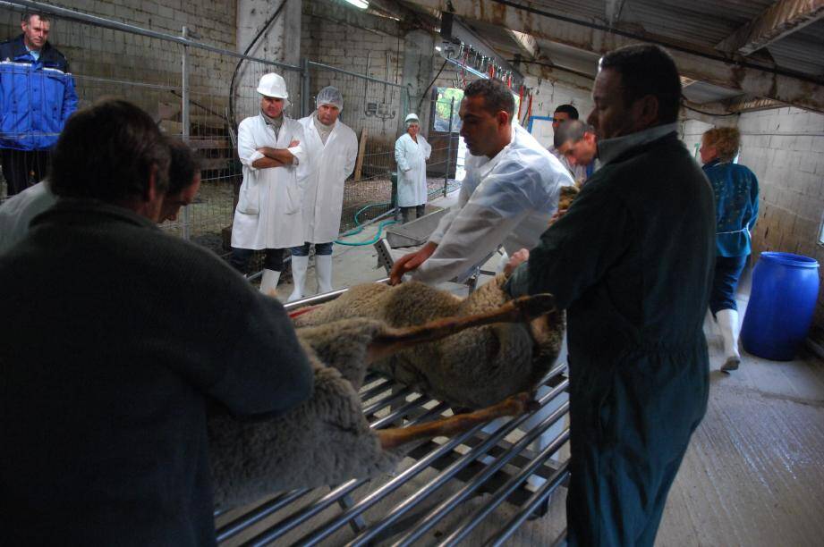 Un seul abattoir temporaire agréé existe dans le département, à Escragnolles.