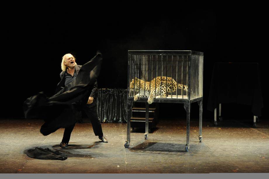 Le magicien Jonicoel a prévu de faire apparaître des fauves dans son spectacle de magie. Un show qui indigne l’association de défense des animaux Friends of animals. 