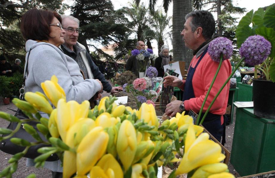 Le vieux village de Bormes accueille 80 exposants dont de nombreux pépiniéristes spécialisés dans les espèces rares.