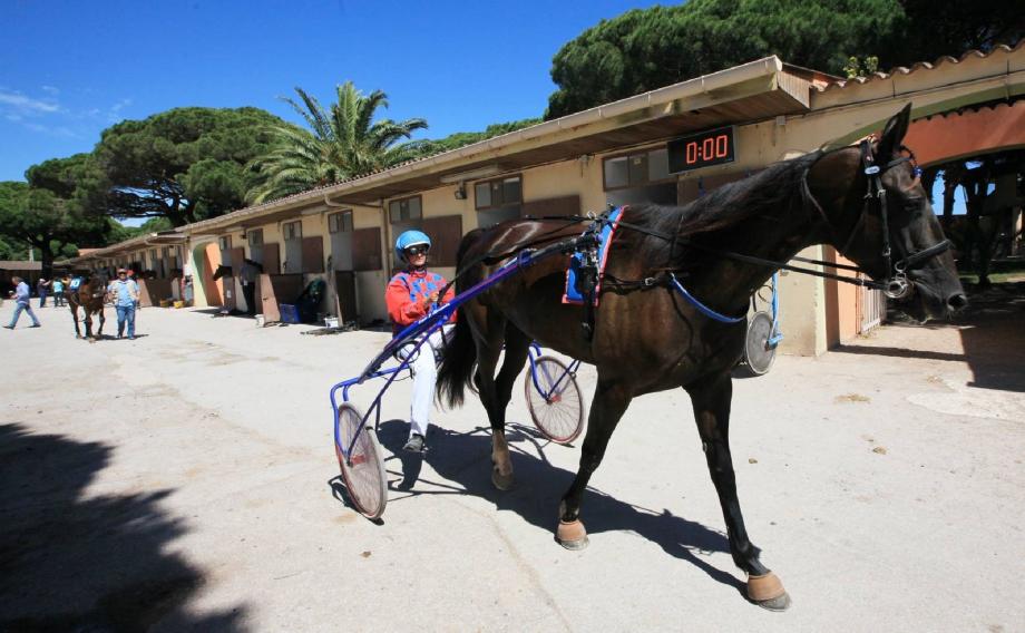 L'hippodrome d'Hyères se remet en selle VarMatin