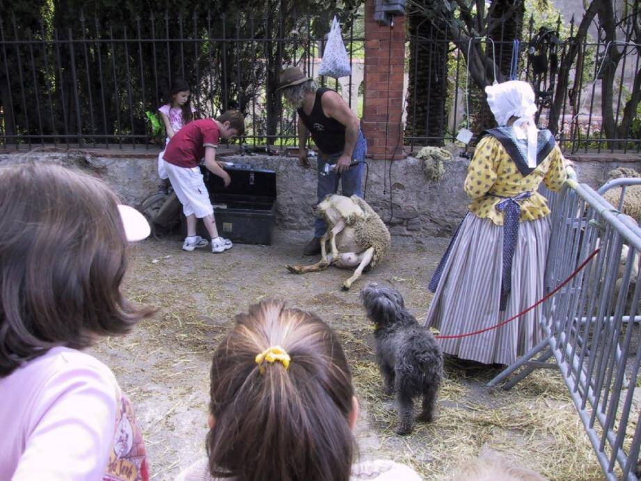 Organisée conjointement par l'office de tourisme et Grimaud animations, cette nouvelle édition de la fête de la laine devrait attirer un public désireux de renouer avec les traditions d'antan !