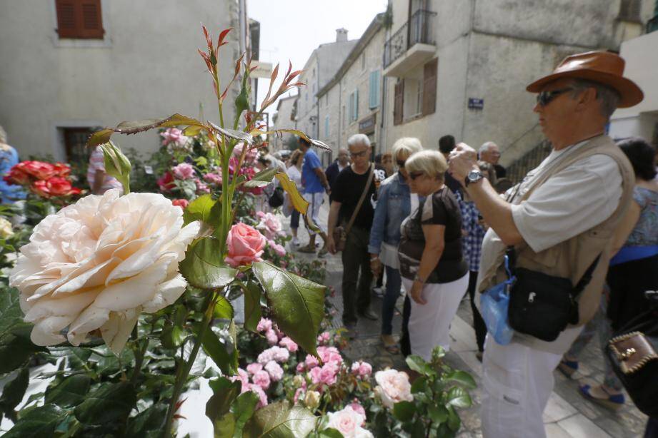 DIAPO. La Fête de la rose fait le plein à La CollesurLoup NiceMatin DIAPO. La Fête de la rose fait le plein à La CollesurLoup NiceMatin