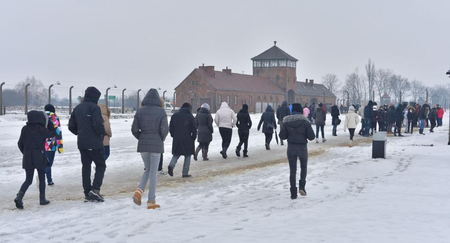 Auschwitz titre sur - 28337562.jpg