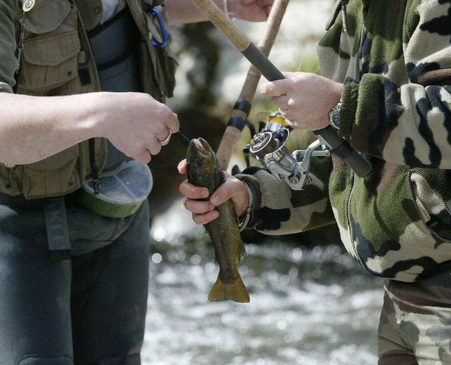 Dans les eaux de la Bévéra et de la Roya, on pêche essentiellement de la truite fario.