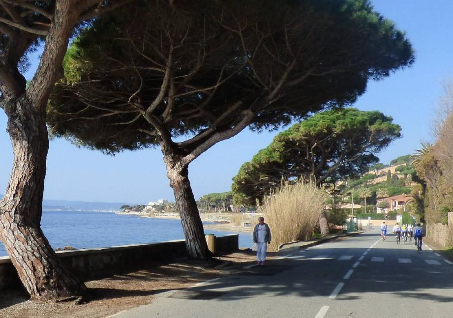 Vélos, marcheurs et joggers se sont appropriés la route des Sardinaux.