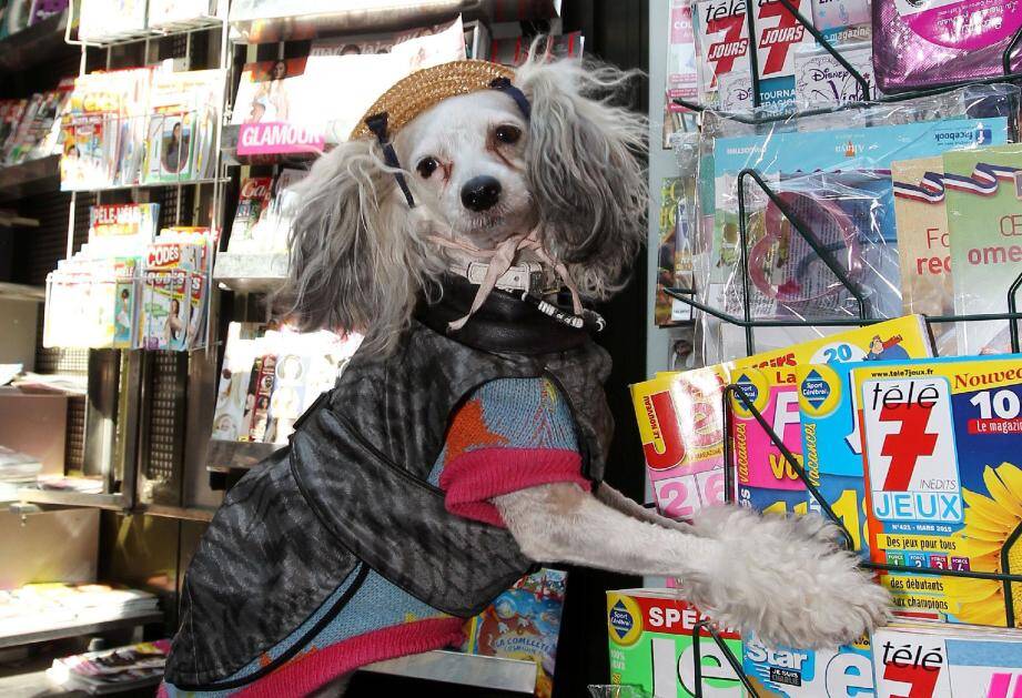 Petites lectures du matin pour la chienne chinoise Gouffy et son maître, Philippe.