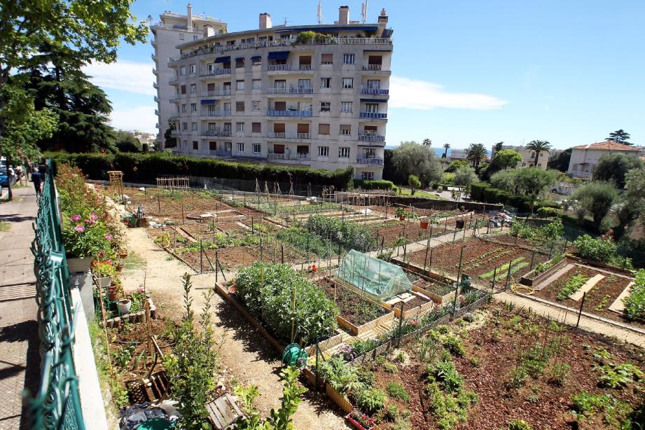 Pourquoi ne pas partager un bout de  jardin  avec vos 