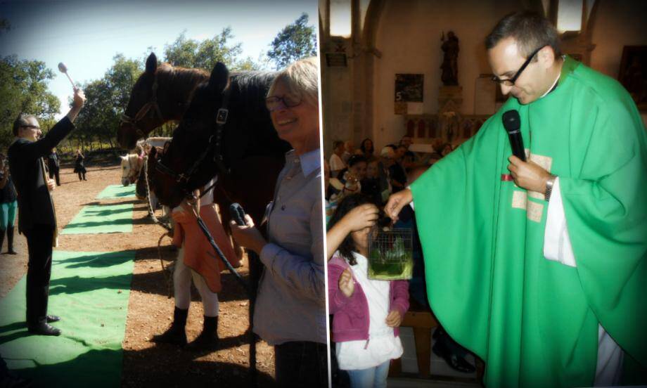 Même les chevaux et les escargots ont reçu la bénédiction du père Michel Kalkus à Trans-en-Provence