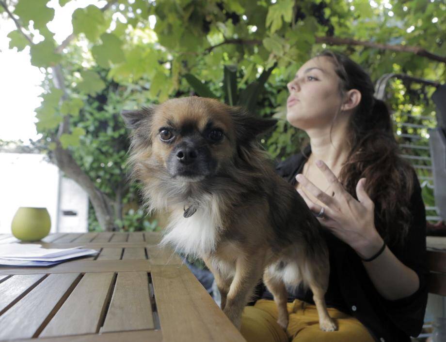 Balou et sa maîtresse animent le groupe dédié aux bons plans canins.