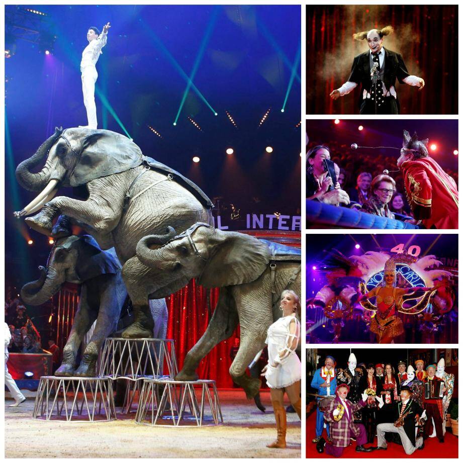 Huit raisons d'aller au Festival International du Cirque de MonteCarlo
