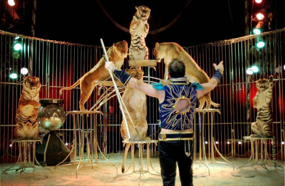 À Garavan, le cirque de Venise déroule son monde doux dingue NiceMatin
