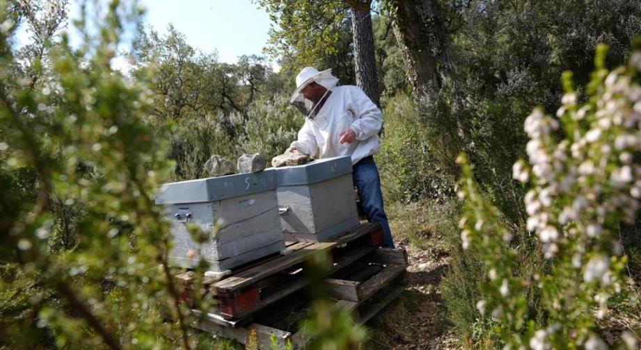 Ancien journaliste, François Gros s'est reconverti en apiculteur il y a sept ans.