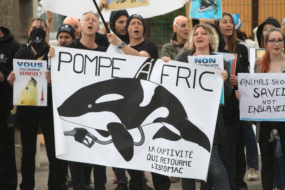 Manifestation anti-captivite devant le parc Marineland d'Antibes, le dimanche 17 avril.