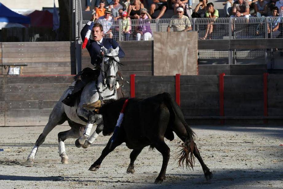 D'après Sylvie Germain, les Fréjusiens seraient majoritairement opposés au retour des corridas dans les arènes.