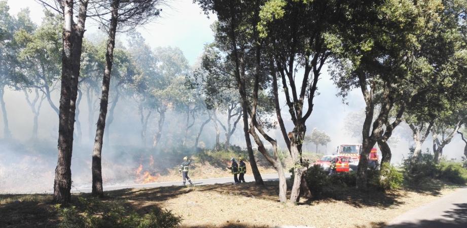 Le feu dans la végétation de Biot ce lundi.