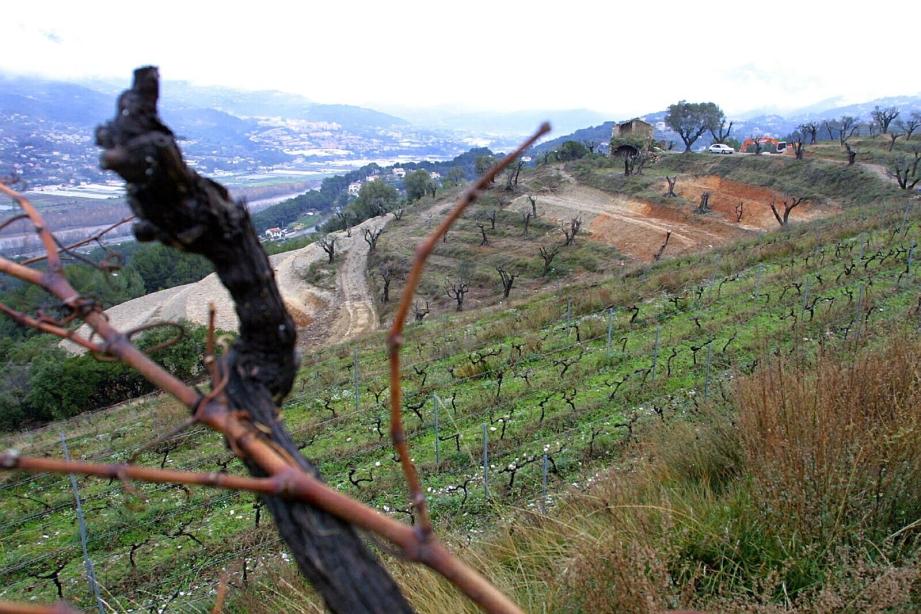 Ce week-end, les dix viticulteurs qui produisent le vin de Bellet, vous attendent, de 10 h à 18 h, pour leur traditionnelle journée portes ouvertes.	