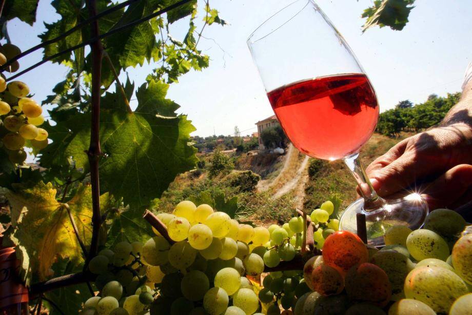 Les exportations de vin rosé au Royaume-Uni ont augmenté plus de 80 % entre 2013 et 2014 et de 37 % lors de l'année dernière. 