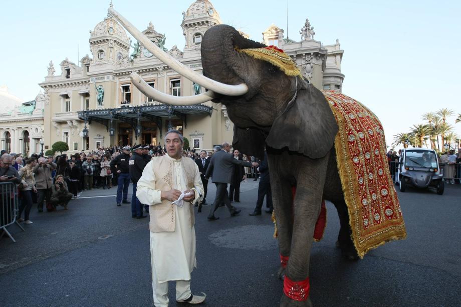 Symbole de prospérité et de bonheur, les éléphants sur la place du Casino ont marqué les esprits.	