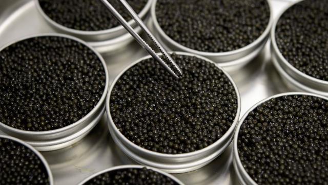 Image d'illustration de boîtes de caviar.