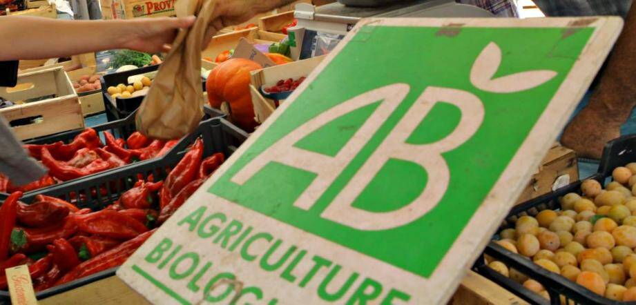 Bientôt un supermarché bio et à des prix défiant toute concurrence à Nice?