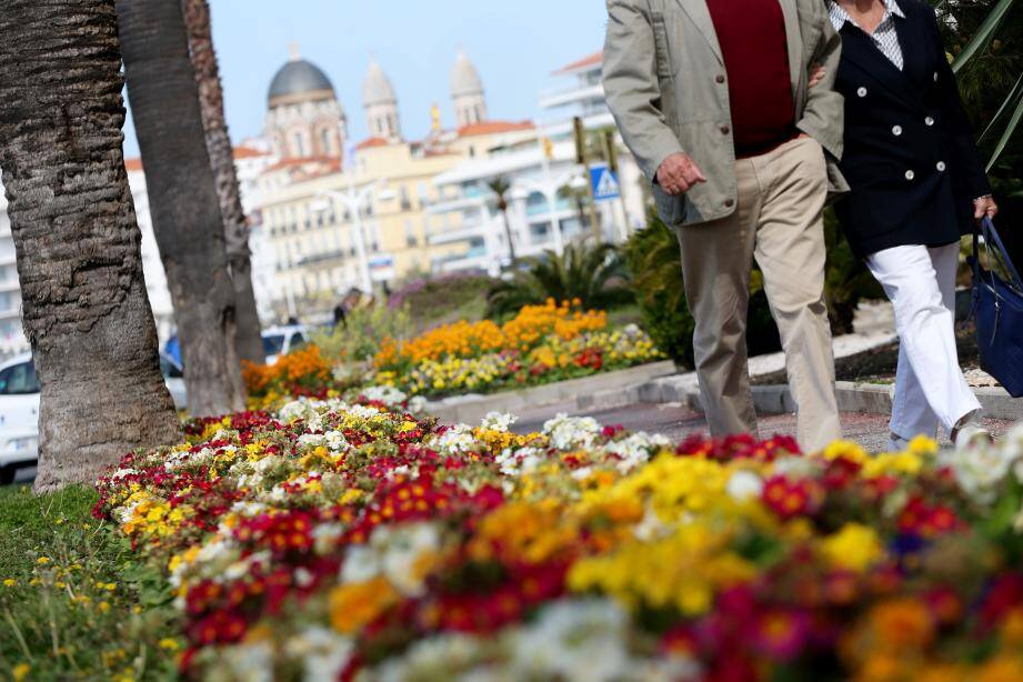 Label "3 fleurs": Fréjus et Saint-Raphaël conservent leur ...