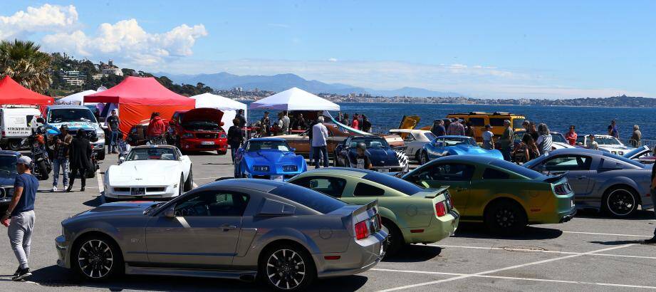 Le Platinium Motors Show, 3e édition, a réuni hier toute la journée, et même une partie de la soirée, place Franklin-Roosevelt sur le parking du Palm Beach, pas moins de 150 voitures, 60 motos et plus de 20 stands. Avec une belle affluence au rendez-vous. Près de 3 000 visiteurs étaient attendus.