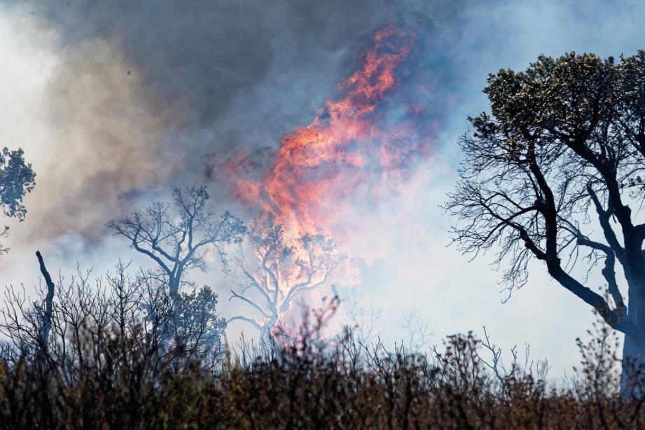 Illustration incendie. 