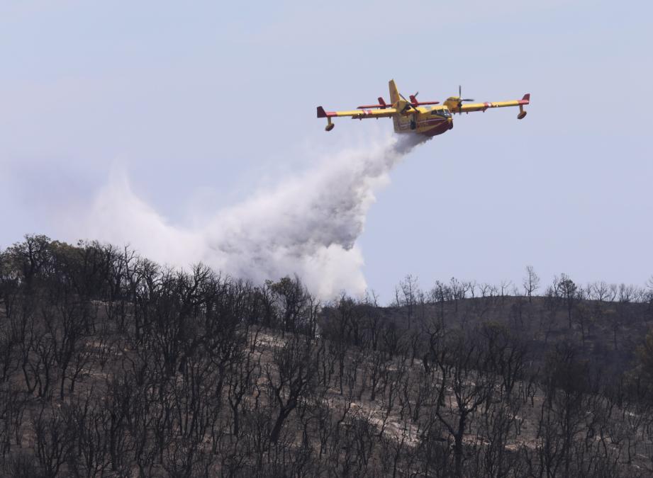 Images d'un canadair en action à Bormes-les-Mimosas en 2017.