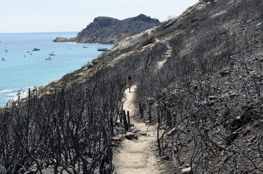 Le Cap Taillat après l'incendie