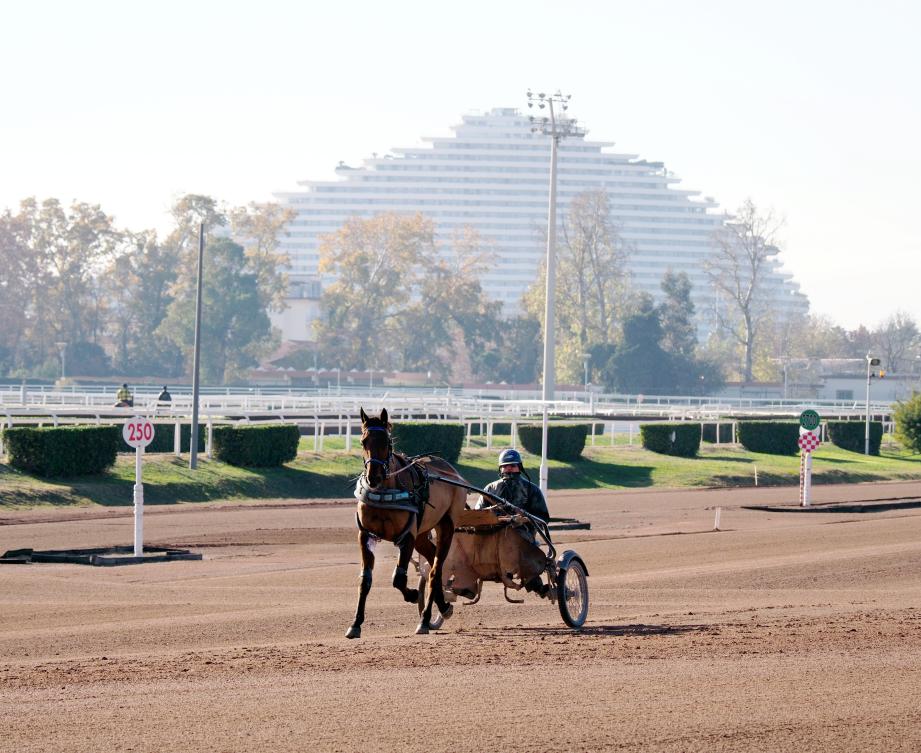 Amateur ou pros des courses hippiques, venez découvrir ces spectacles depuis les restaurants de l'hippodrome qui offrent une vue panoramique sur les environs.