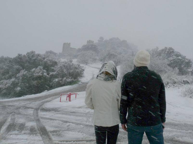 A Hyères, sur la colline du château.